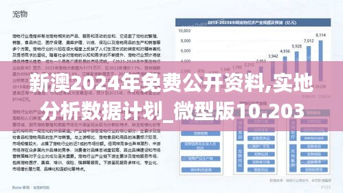 2024年新澳资料免费公开,决策资料解释落实_soft65.163