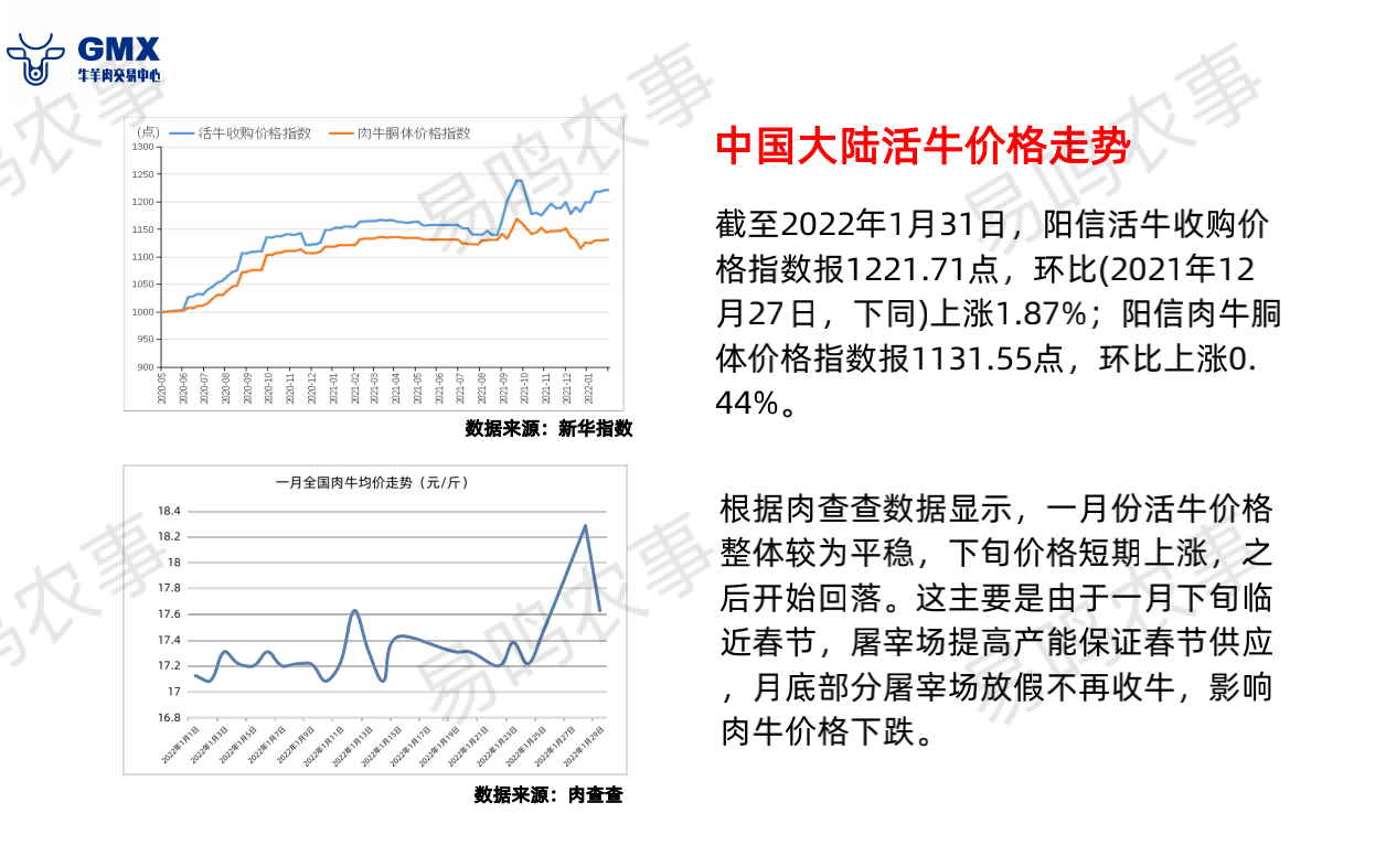 最新肉牛价格行情解析