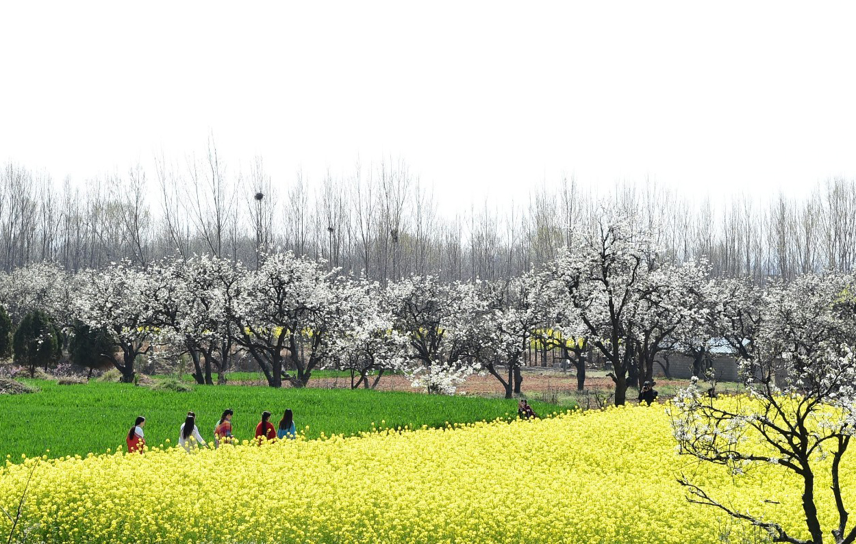 泌阳最新楼盘，现代都市生活的优选之地